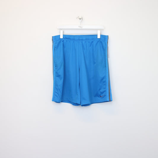 Vintage Nike shorts in blue.  Best fits M