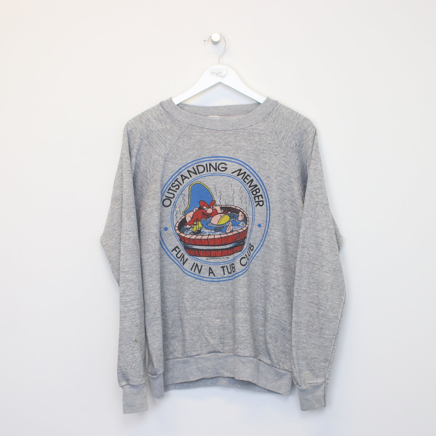 Vintage Warner Brothers sweatshirt in Grey. Best fits M