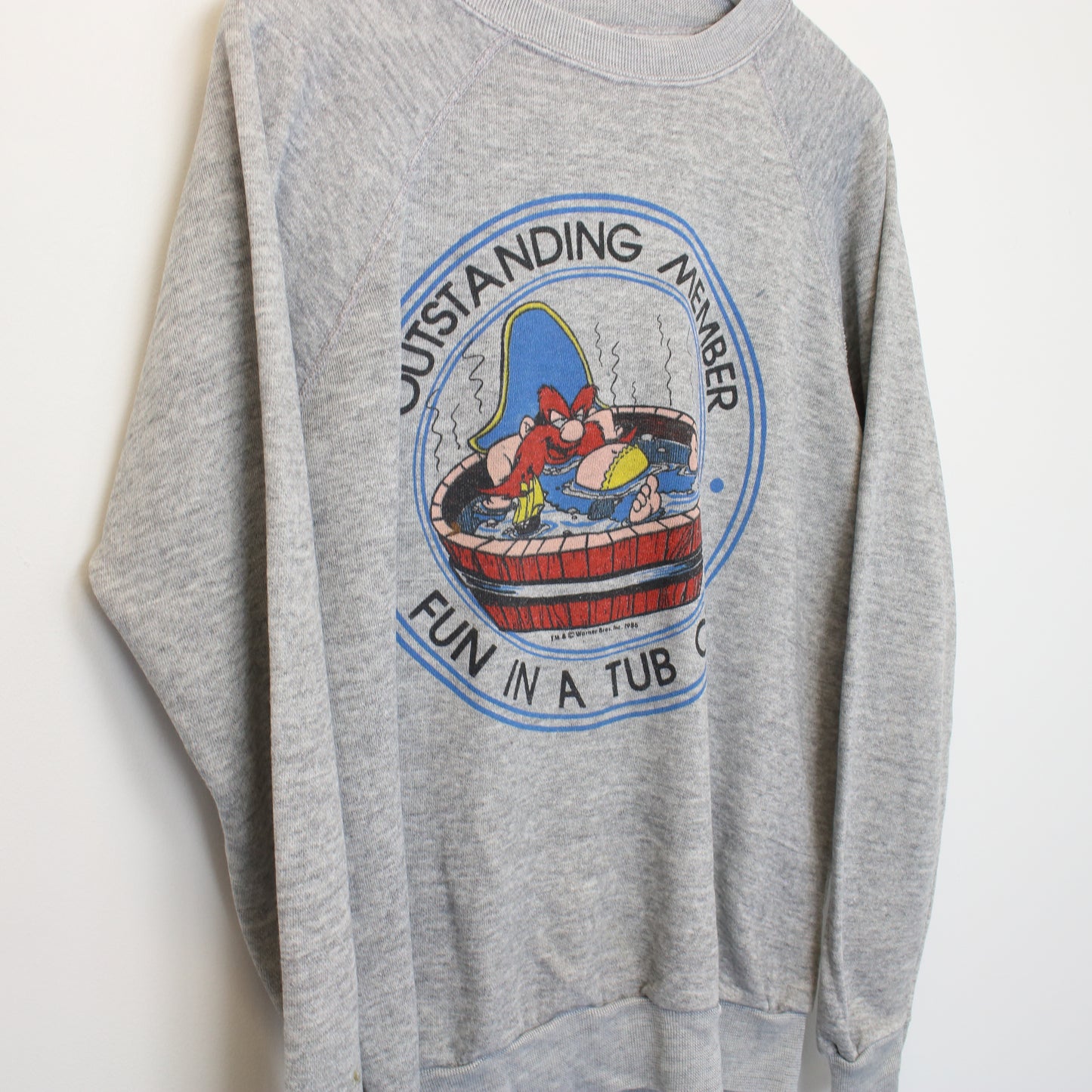 Vintage Warner Brothers sweatshirt in Grey. Best fits M